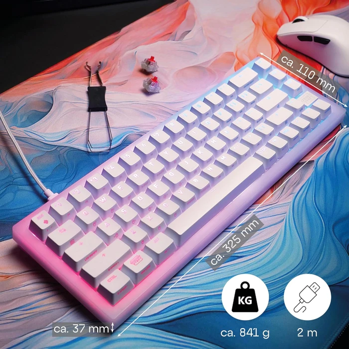 Cherry Xtrfy K5V2 Compact, Transparent White, LEDs RGB, hot-swap, MX2A RGB RED, USB, DE