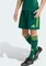 adidas Tiro 25 Competition Match Hose kurz collegiate green (Herren) Vorschaubild