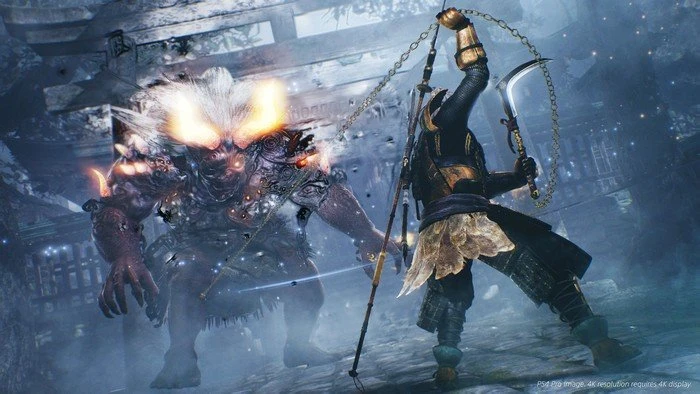 Nioh (PS4)