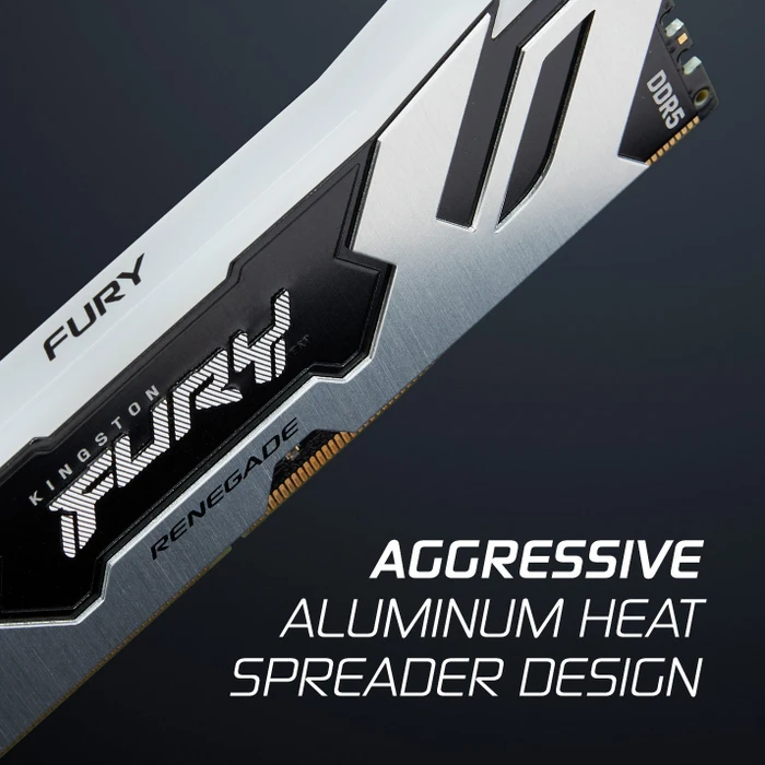 Kingston FURY Renegade RGB schwarz/silber UDIMM 48GB Kit, DDR5-8000, CL38-48-48, 1RX8