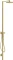 Hansgrohe Axor Starck Duschsäule mit Thermostat und Kopfbrause 240 1jet brushed brass Vorschaubild