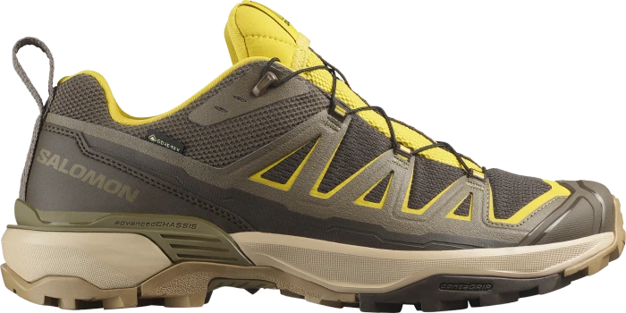 Salomon X Ultra 360 Edge GTX peat/olive night/endive (Herren)