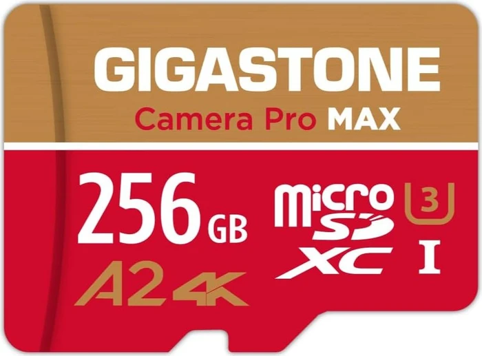 Gigastone Camera Pro MAX R130/W85 256GB Kit, UHS-I U3, A2, Class 10