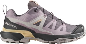 Salomon X Ultra 360 excalibur/nirvana/hazelnut (Damen)