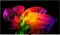 LG OLED evo AI W6 W69LA Vorschaubild