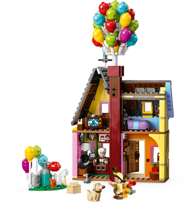 LEGO Disney Princess - Carls Haus aus Oben
