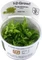 Tropica Wasserpflanzen im Becher, In-Vitro 1-2-Grow! Vorschaubild