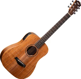 Taylor BT-Koa