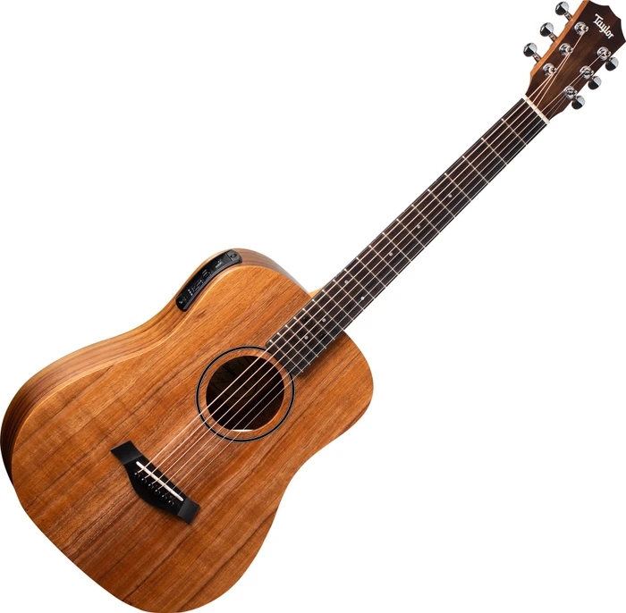 Taylor BT-Koa
