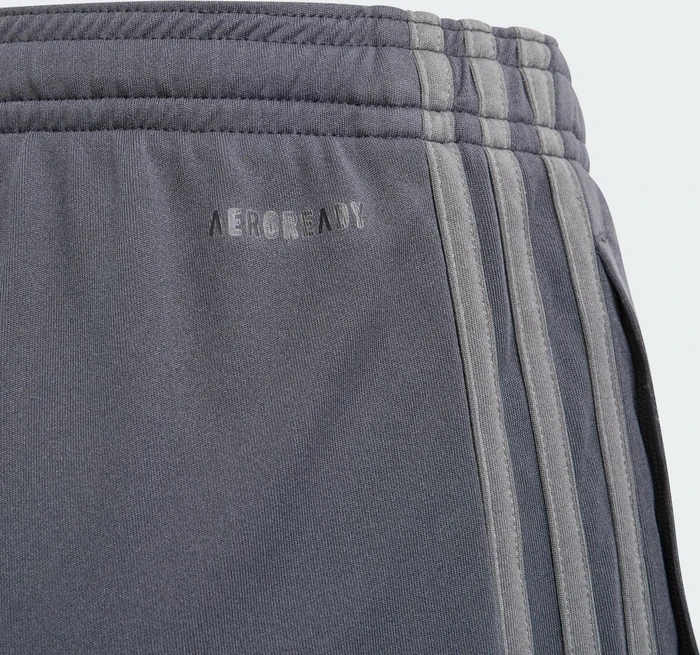 adidas Juventus Turin 2023/2024 Ausweichshorts carbon (Junior)