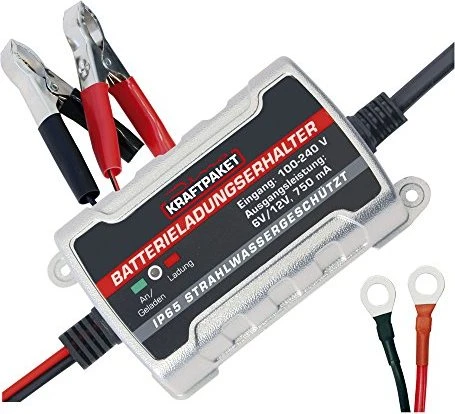 Dino Batterieerhaltungsgerät 6V/12V