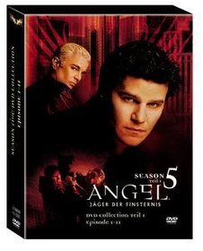 Angel - Jäger der Finsternis Season 5.1 (DVD)