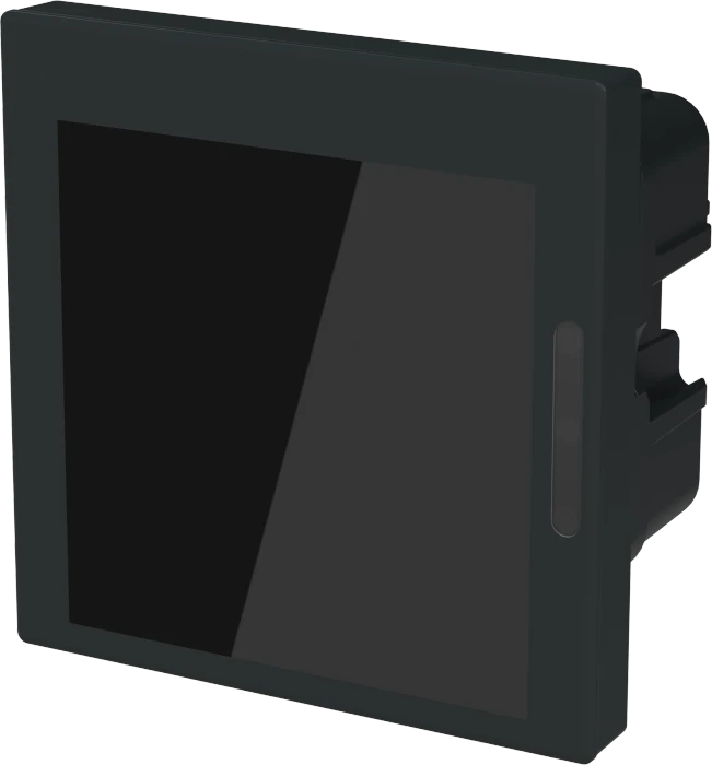 Busch-Jaeger SD/U12.55.11-825 2.4" Display 55