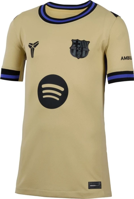 Nike FC Barcelona 2025/2026 Trikot