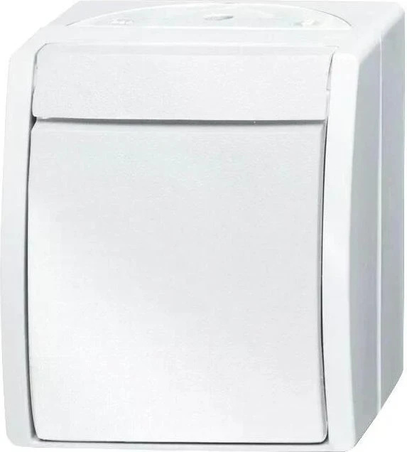 Busch-Jaeger 2601/6 W-5