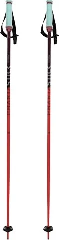 Völkl Phantastick 16mm Alpin Skistock rot (Modell 2021/2022)