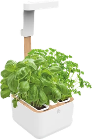Veritable Botaneo Eylo Indoor weiß/braun