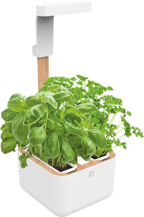 Veritable Botaneo Eylo Indoor weiß/braun