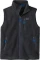 Patagonia Retro Pile Weste (Herren) Vorschaubild
