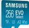 Samsung EVO Select R130 256GB Kit, UHS-I U3, A2, Class 10 Vorschaubild