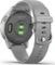 Garmin vivoactive 4S powder grey/silver Vorschaubild