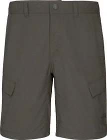 The North Face Horizon Cargo Shorts Hose kurz asphalt grey (Herren)