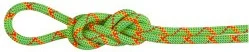 Mammut 8.0 Alpine Core Protect Dry Rope Halbseil 8mm