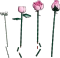 LEGO Botanicals - Rosa Rosenstrauß Vorschaubild