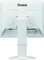 iiyama ProLite B1980SD-W1, 19" Vorschaubild