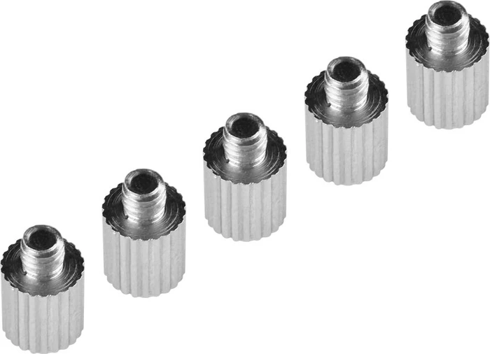 SilverStone CA04, M.2 SSD Screw Kit for Motherboard Accessories Mounting