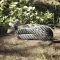 adidas Terrex Hydroterra Light Sandale charcoal solid grey/charcoal/semi spark Vorschaubild