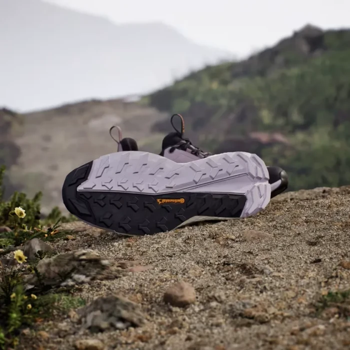 adidas Terrex Free Hiker 2.0 Low GTX preloved fig/silver dawn/aurora black (Damen)