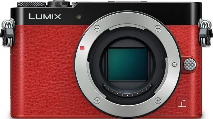 Panasonic Lumix DMC-GM5