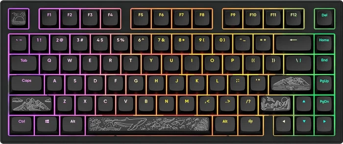 Dark Project ALU81A Terra Nostra Gaming Keyboard, schwarz, LEDs RGB, g3ms Moonstone, USB, US