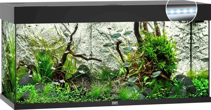 Aquarium-Set, schwarz, 180l