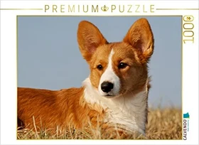 Calvendo Ein Motiv aus dem Kalender Welsh Corgi - Kobold auf 4 Pfoten