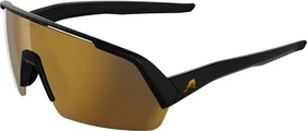 Alpina Turbo HR black matt/mirror gold