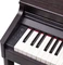 Roland RP701 Rosenholz Vorschaubild