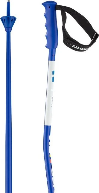 Salomon S/Race GS Alpin Skistock blau (Modell 2023/2024)