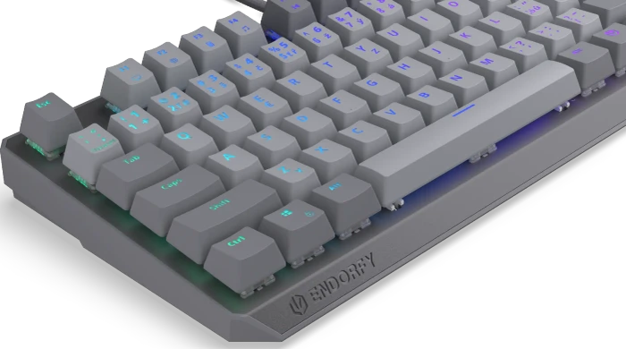 Endorfy Thock V2 TKL, PBT, grau, LEDs RGB, hot-swap, Endorfy RED, USB, CZ/SK