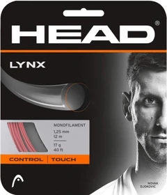 Head Lynx rot, 12m