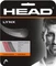 Head Lynx Vorschaubild
