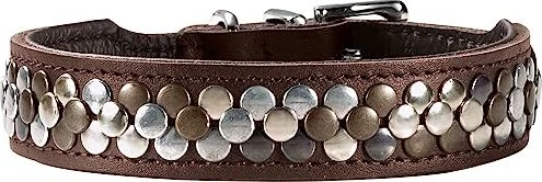 Hunter Halsband Arizona Up, 37, braun