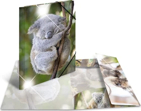 Herma Glossy Tiere Sammelmappe, A3, Koala