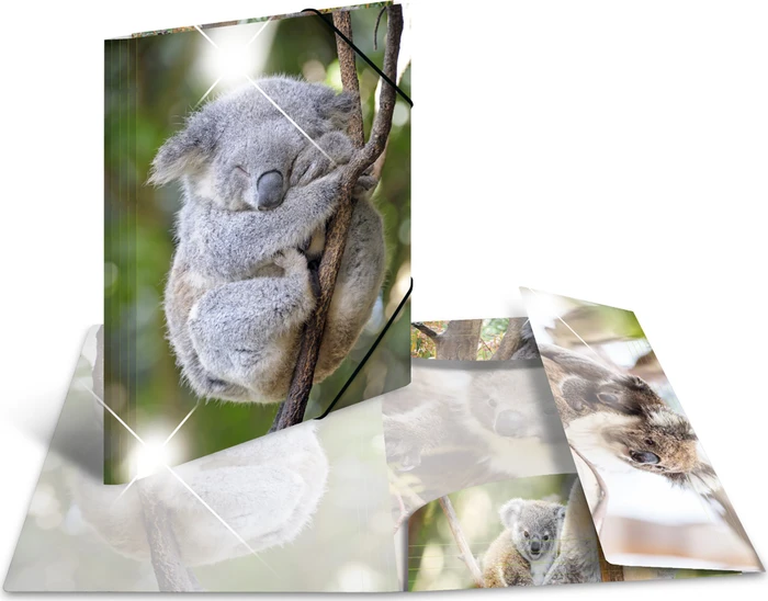 Herma Glossy Tiere Sammelmappe, A3, Koala