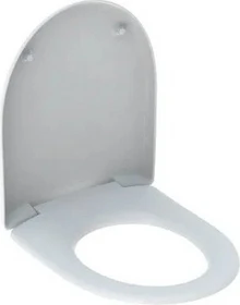 Geberit Renova WC-Sitz, Befestigung von oben, Absenkautomatik, pergamon/glänzend