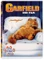 Garfield - Der Film (DVD) Vorschaubild