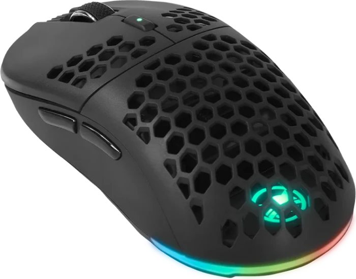 Gamiac PX71 Wireless RGB Gaming Maus schwarz, USB