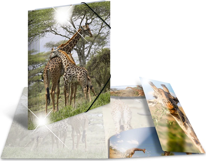 Herma Sammelmappe Glossy Tiere A4