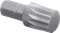 Wera 860/1 XZN Innenzwölfkant Bit 1/4", 25mm, 1 Stück Vorschaubild